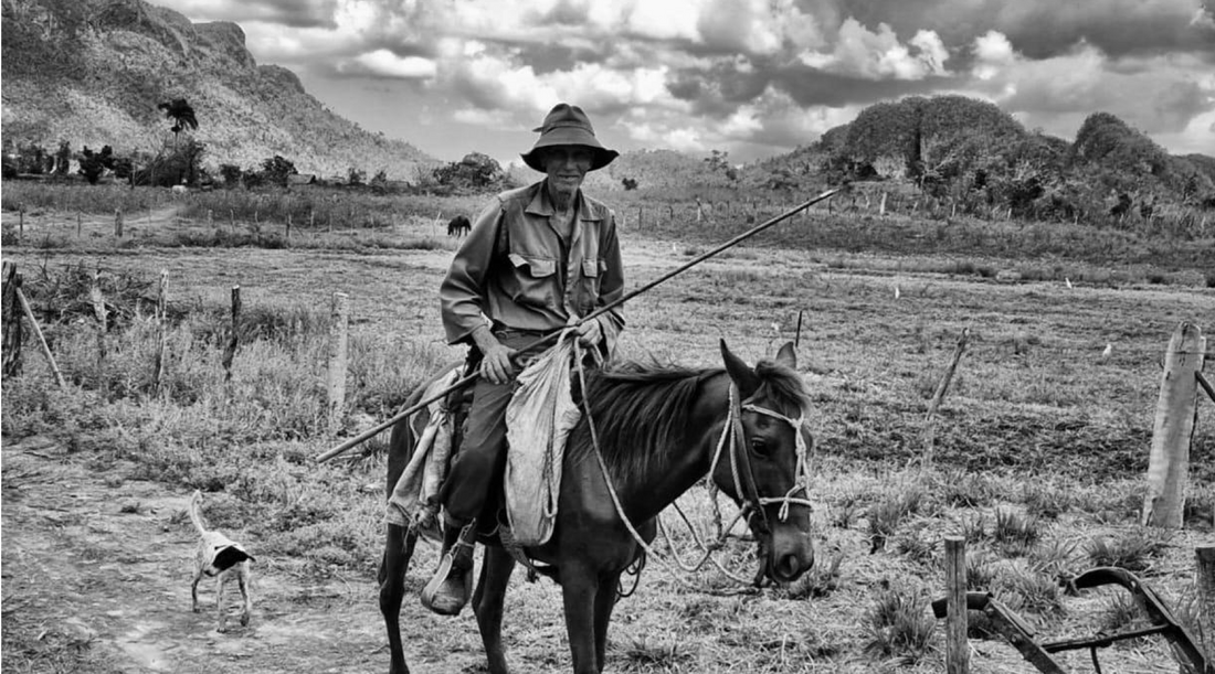 A journey through my lens, de Bianca Stefanovici