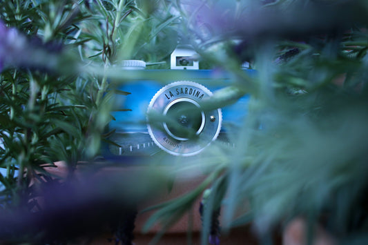 Classic camera between green leafs. Photo by Seiji Seiji on Unsplash.