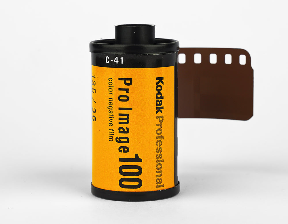 Kodak Pro Image 100